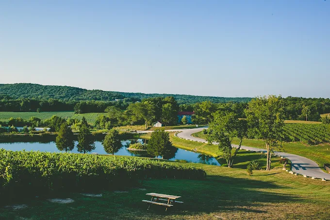 Chandler Hill Vineyards